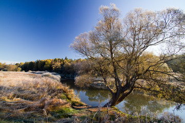 Fototapeta premium autumn landscape with river and trees