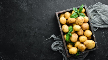Fototapeta Fresh potatoes in the box. Organic food. Top view. Free space for text. obraz