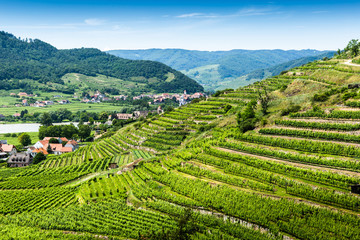 Fototapeta na wymiar Landscape of Wachau valley, Danube river, Austria.