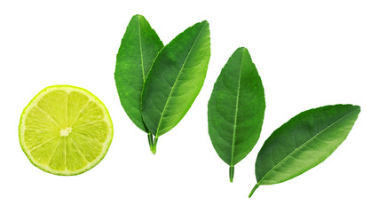 Fototapeta na wymiar Green lime and leaf on a white background.