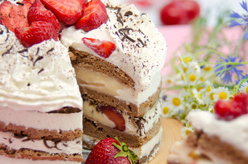 Tiramisu homemade cake. Italian dessert consisting of layers of sponge cake soaked in coffee and brandy or liqueur with powdered chocolate and mascarpone cheese.