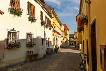 Fototapeta na wymiar Street in Durnstein. Wachau Valley. Austria.