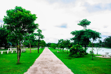 Huay Muang Ubon Ton Park, Over Tone Color