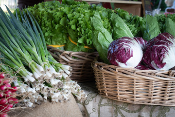 This is a group of cabbage, lettuce, green onions, and radishes that have been freshly harvested and for sell at a local market.