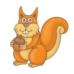 Squirrel. isolated on white background