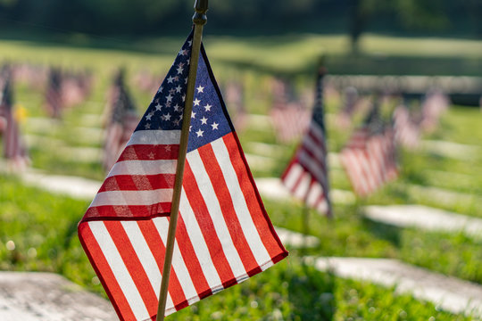 This is a color photo of flags at a Veterans Cemetery in North Carolina during Memorial Day weekend.