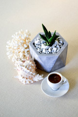 Obraz na płótnie Canvas Plant and cup of coffee