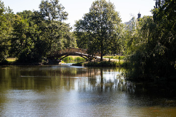 Fototapeta na wymiar Beautiful sight of a park landscape with avenues, pond, bridge and trees in summer in Leipzig