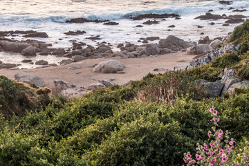 Santiago Chile ocean beach front