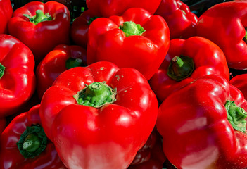 Close-up view of ripe red bell peppers, just harvested.