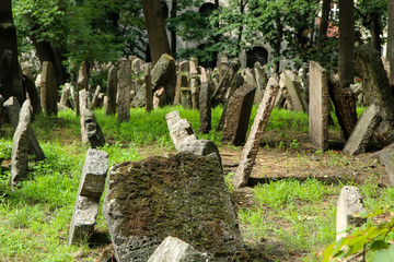 The very old jewish cemetery with a lot of shabby stone tombstones. 