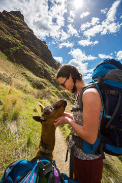 A female backpacker says hellow to a friendly pack goat on the scenic Snake River National Recreation Trail (#102) along the Oregon-Idaho border in Hells Canyon. The canyon is the deepest river gorge in North America with more than a mile of vertical elevation between the river floor and nearby peaks in the Seven Devil Mountains.