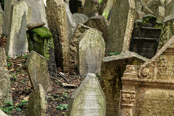 The very old jewish cemetery with a lot of shabby stone tombstones. 