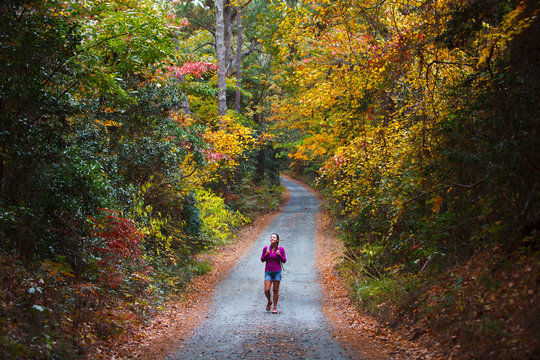 A woman hiking along a colorful bend in Old Nags Head Woods Road on a rainy autumn day. The narrow road is one of only two roads that access the Nags Head Woods Preserve.