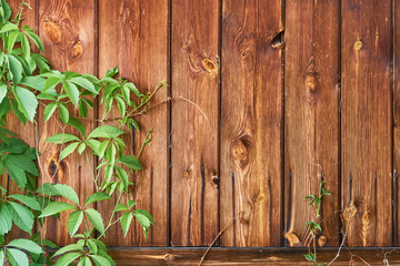 old wood rough texture background in row