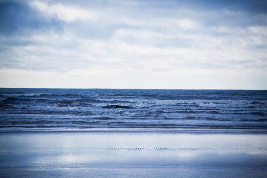 A monochromatic view of the Pacific Ocean at the Olympic National Park in Washington.     
