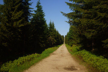 the mountain trail in the Izera Mountains in Poland called samolot © magdagalkiewicz