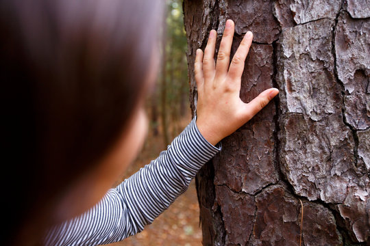 A woman touches the bark of a Loblolly pine tree (Pinus taeda) while hiking the Sweetgum Swamp Trail in the Nags Head Woods Preserve.