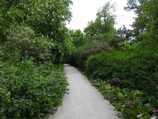 Fototapeta na wymiar The path in the park