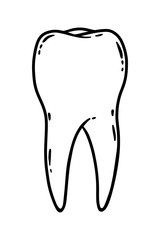 tooth on white background