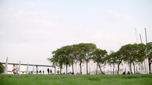 Little dog running around ant trying to catch a freesby. Jack russel. Evening in Barcelona 