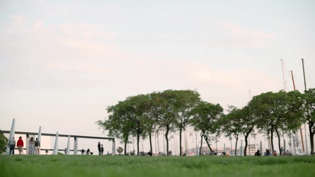 Little dog running around ant trying to catch a freesby. Jack russel. Evening in Barcelona 