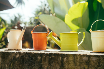 Colorful watering cans and buckets for plants in garden
