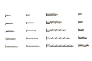 3D illustration Many types of screws isolated on white background. Screws of different lengths. Collection of wood screws, euro screws, confirmat screws. Close up. Furniture hardware and fittings.
