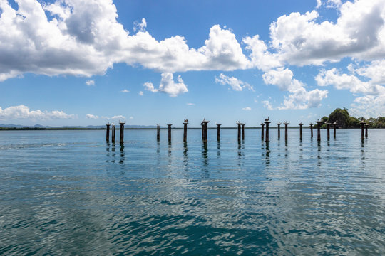 Sea birds sitting on pillars in Los Haitises National Park