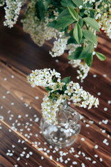 cherry flowers with green leaves on a wooden background