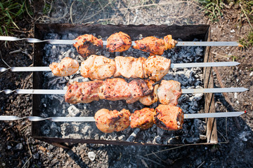 Appetizing pork shish kebab on a brazier with coals. Dinner in nature