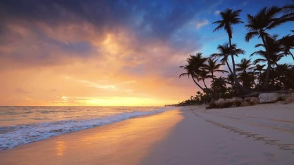 Landscape of paradise tropical island beach