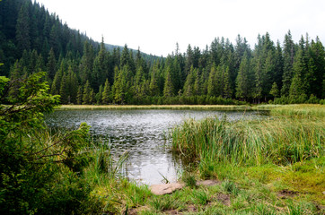 A mountain lake. Fog in mountains, fantastic morning foggy scenery, hills covered beech forest,...