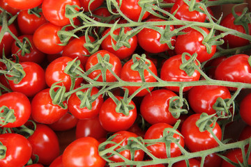 tomato harvest for food textures