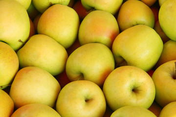 yellow apples close up background