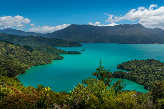 View on the Marlborough Sound in New Zealand