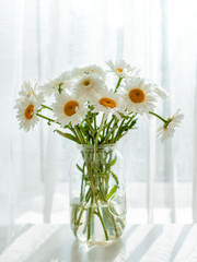 Fototapeta na wymiar Bouquet of white flowers in a jar on a white background. Butterfly sitting on daisies and gerbera.