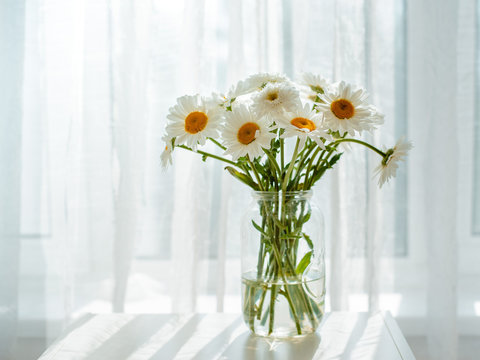 Bouquet of white flowers in a jar on a white background. Butterfly sitting on daisies and gerbera.