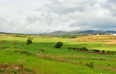 Obraz premium Image du printemps 2