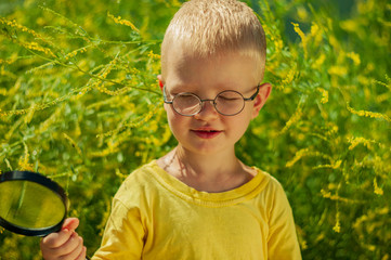 Portrait of charming boy in yellow T-shirt and glasses against background of green flowering bush. child examines flowers through magnifying glass. Spring floral background. soft lens