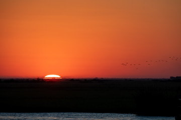 Coucher de soleil et oiseaux