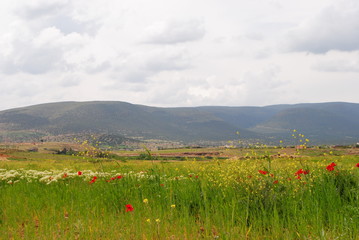 Image du printemps 7