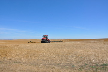 Fototapeta premium Combine Farming