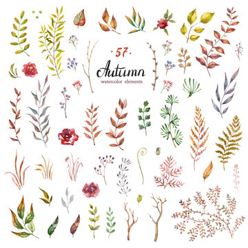 Vector Set Of Red Autumn Watercolor Leaves And Berries, Hand Drawn Design Elements