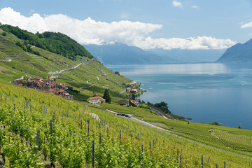 Le Lavaux