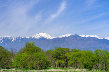 信州安曇野　残雪の北アルプスと新緑