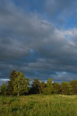 Fototapeta na wymiar Dramatic sunset on the summer field.