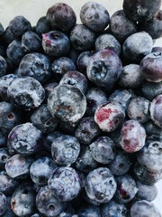 blueberries on white background