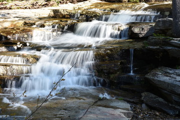 waterfall in the forest