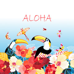 Graphics color funny birds toucans on a floral background